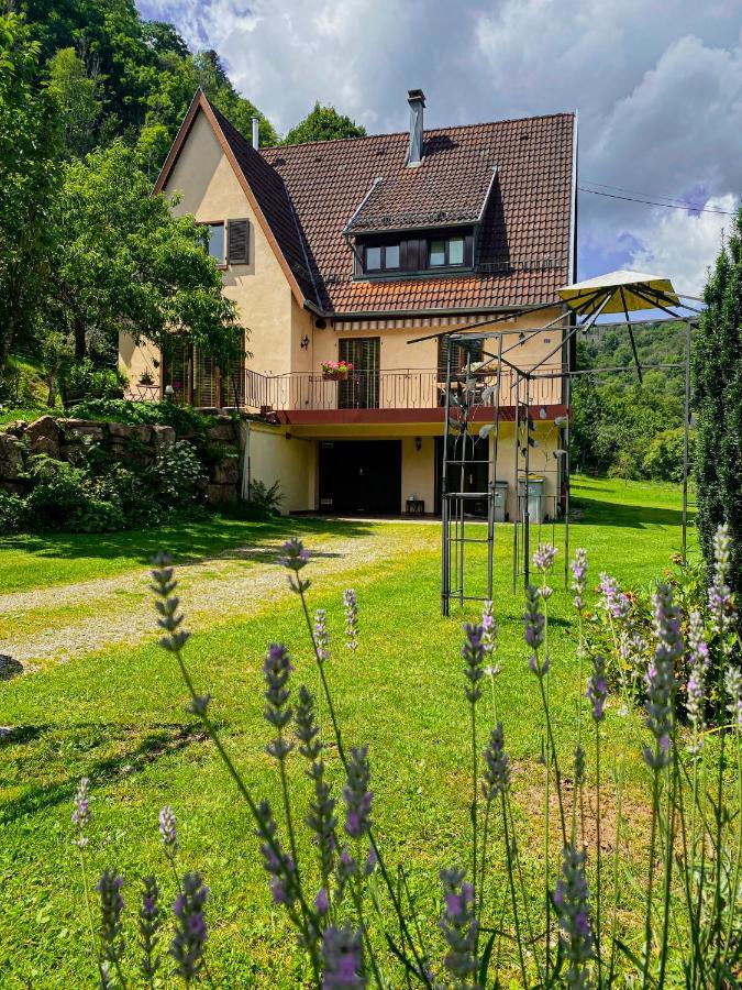 La Araucania, 2 Personnes - Wifi Rombach-le-Franc Екстериор снимка